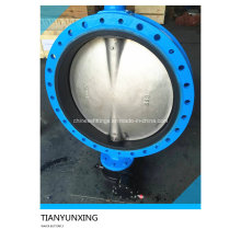 Stainless Steel Disc Wom Gear Wafer Butterfly Valve